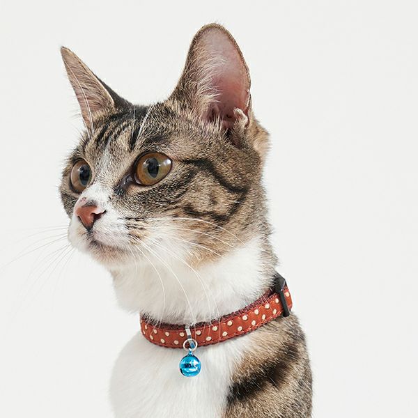 20%OFF！スーパーSALE】猫用首輪 CAT COLLAR ドット ブラウン【会員様