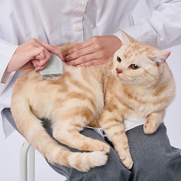 犬猫用 FIXCARE 手に収まる ノミ取りコーム | ペティオ オンライン