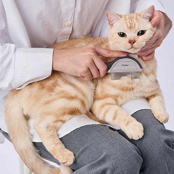犬猫用 FIXCARE ノミを逃がさない カバー付ノミ取りコーム | ペティオ