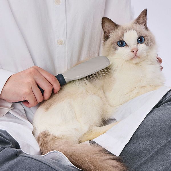 犬猫用 FIXCARE 握りやすい ピンブラシ S | ペティオ オンライン