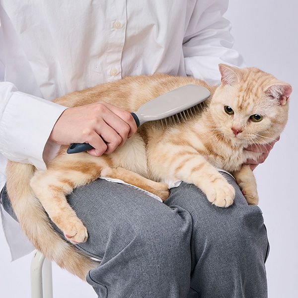 犬猫用 FIXCARE 握りやすい ピンブラシ M | ペティオ オンライン