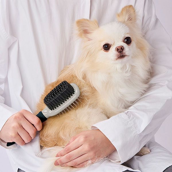 犬猫用 FIXCARE 使い分け出来て握りやすい ダブルブラシ S | ペティオ