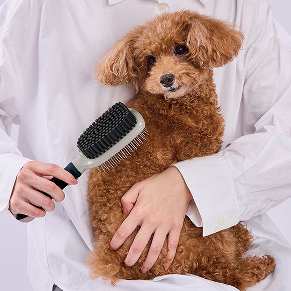 犬猫用 FIXCARE 使い分け出来て握りやすい ダブルブラシ M | ペティオ