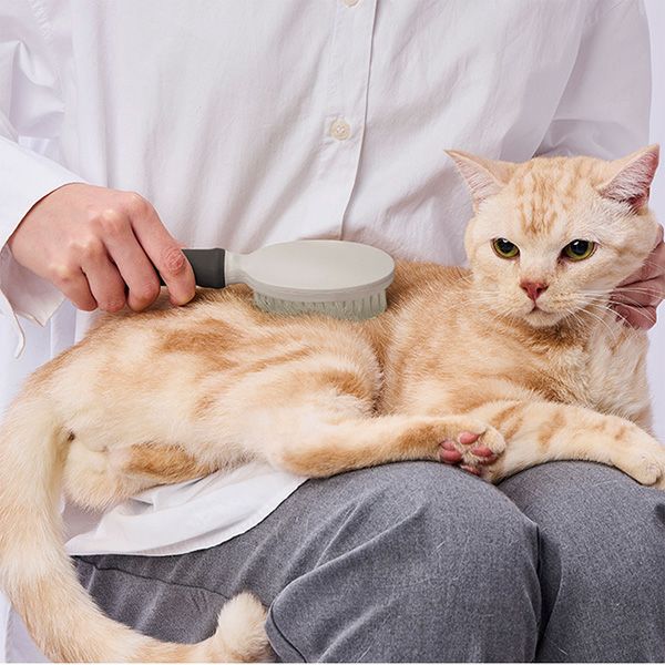 犬猫用 FIXCARE 毛がやわらかくて握りやすい ツヤ出し獣毛ブラシ