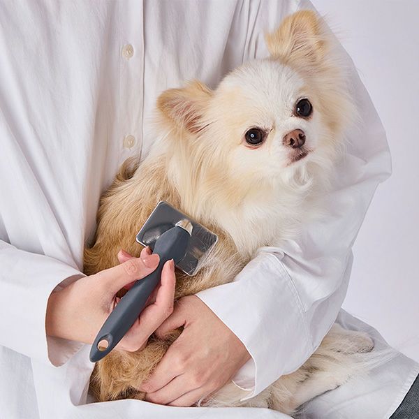 10%OFF！おうち時間特集】犬猫用 FIXCARE ピン先が優しく握りやすい