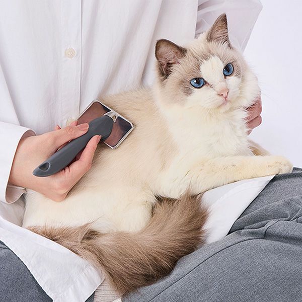 犬猫用 FIXCARE ピン先が優しく握りやすい ソフトスリッカーブラシ