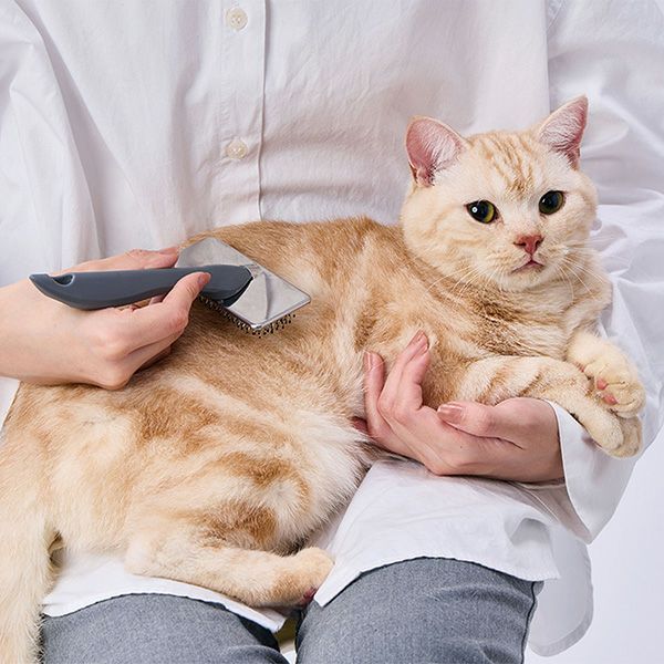 10%OFF！おうち時間特集】犬猫用 FIXCARE ピン先が優しく握りやすい