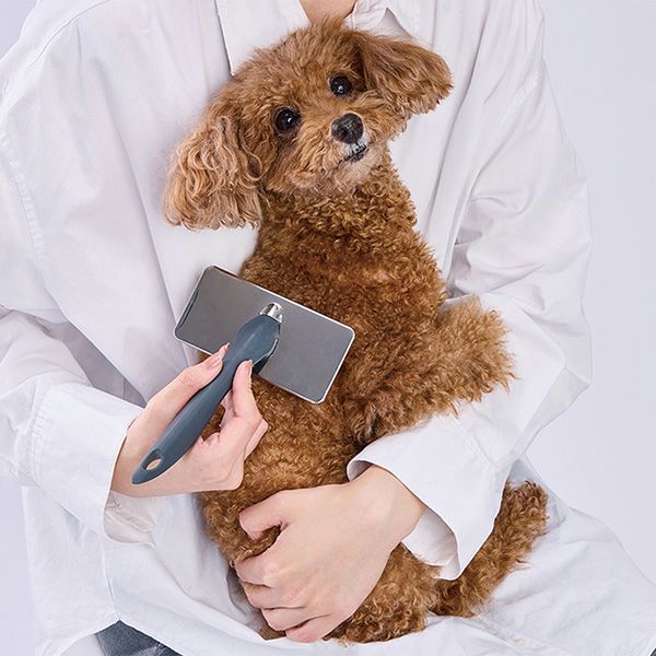 商品イメージ