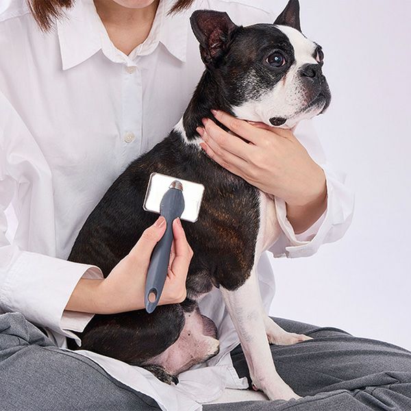 犬猫用 FIXCARE ピン先が優しく握りやすい ハードスリッカーブラシ