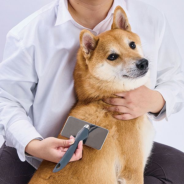 商品イメージ