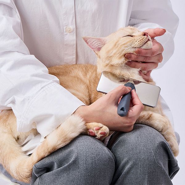 10%OFF！スーパーSALE】犬猫用 FIXCARE ピン先が優しく握りやすい