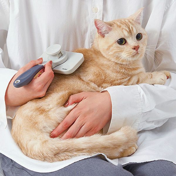 15%OFF！おでかけ特集】犬猫用 FIXCARE 掃除がしやすいボタン式 回転