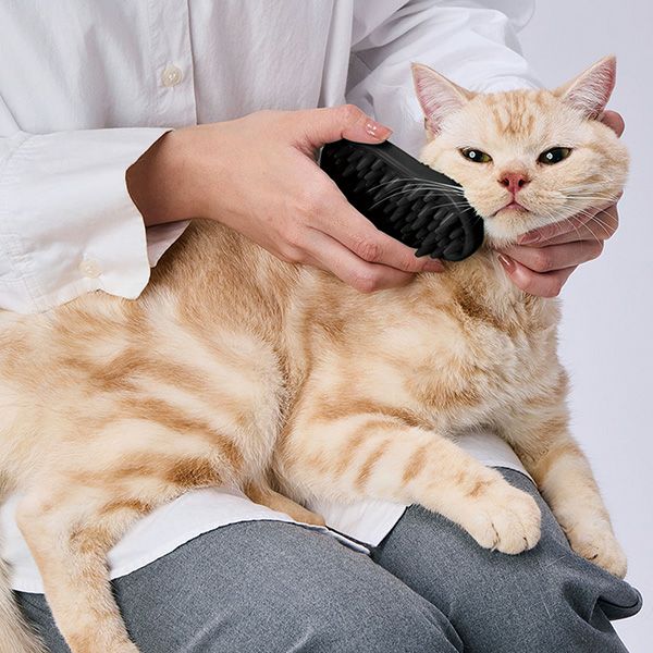 犬猫用 FIXCARE 裏表ピンで握りやすい ダブルラバーブラシ ハード
