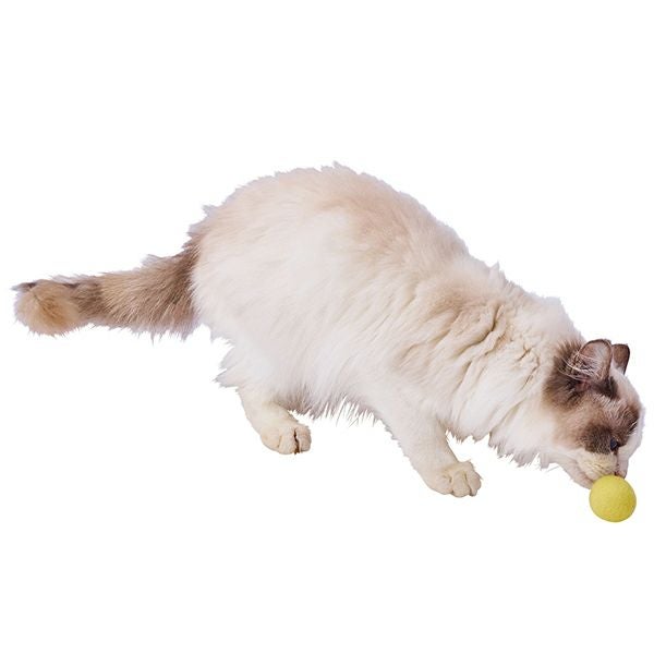 Add.Mate アドメイト 猫用おもちゃ Happiness Cat ウールボールmini 4