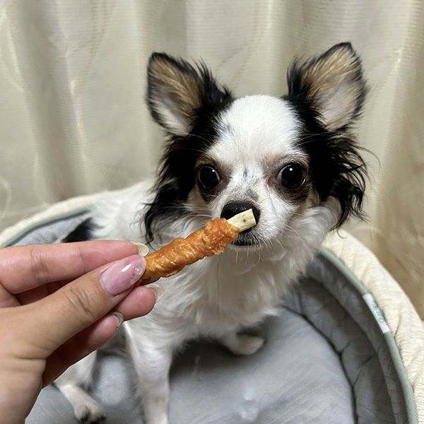 商品イメージ