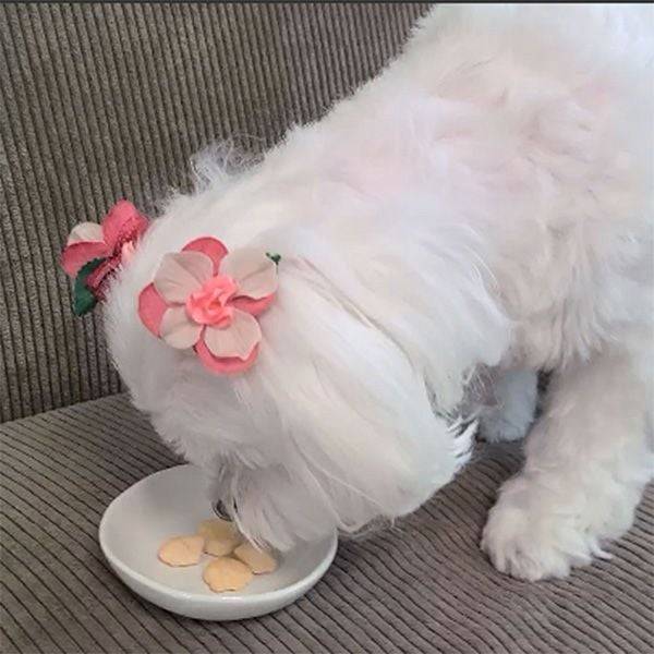 素材そのまま 完全無添加 生後3ヶ月からのひとくち蒸しササミ 105g