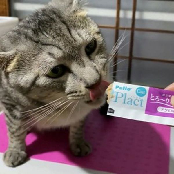 商品イメージ
