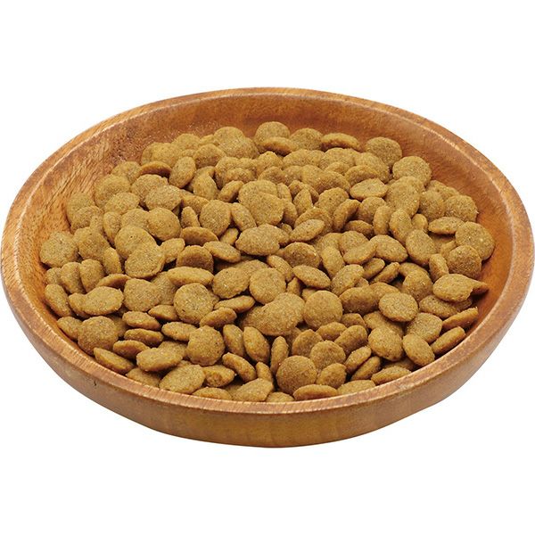 Plact プラクト キャット ドライフード 幼猫～成猫用 チキン味 540g