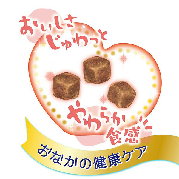 ネコちゃんの乳酸菌のちから フェカリス菌 完全無添加 濃厚リッチ