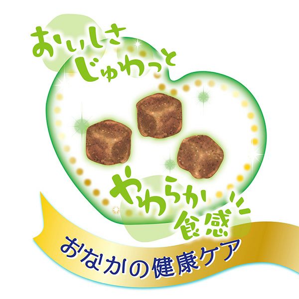 ネコちゃんの乳酸菌のちから フェカリス菌 完全無添加 濃厚リッチ
