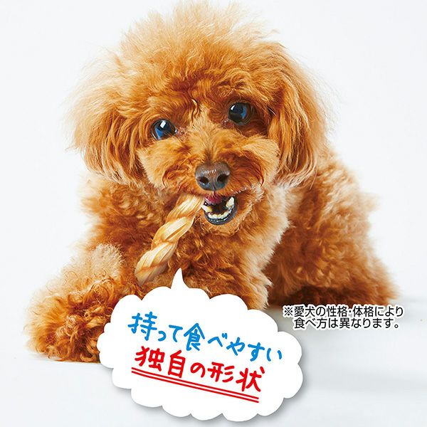 10%OFF！デンタルアイテム特集】かわいくたべちゃう！ デンタル