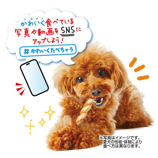 商品イメージ