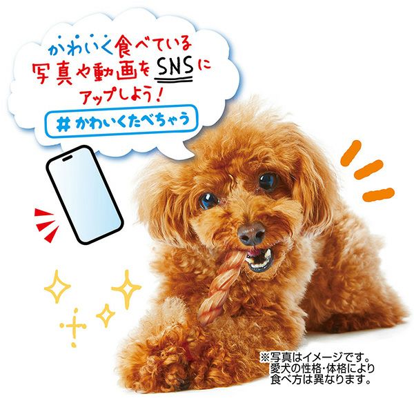 10%OFF！スーパーSALE】かわいくたべちゃう！ デンタルファイバー