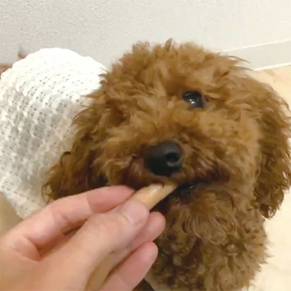 商品イメージ