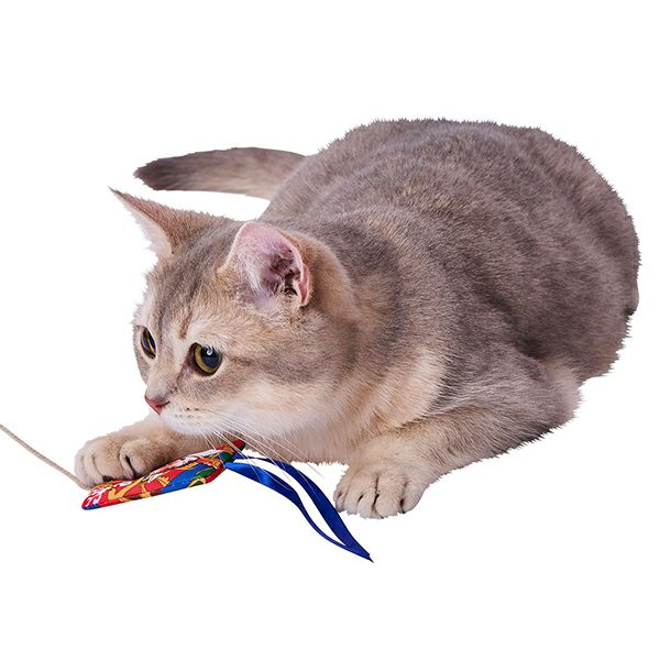 猫用おもちゃ 猫小町 凧じゃらし 武者 | ペティオ オンライン ショップ本店