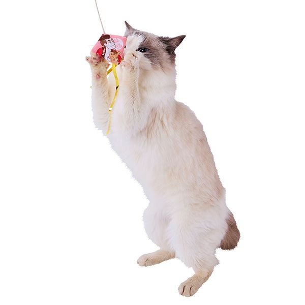 ねこじゃらし  楽天市場】【楽天6冠】【anan掲載】 猫じゃらし 14点 セット 天然 羽