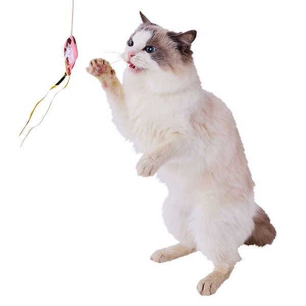 商品イメージ