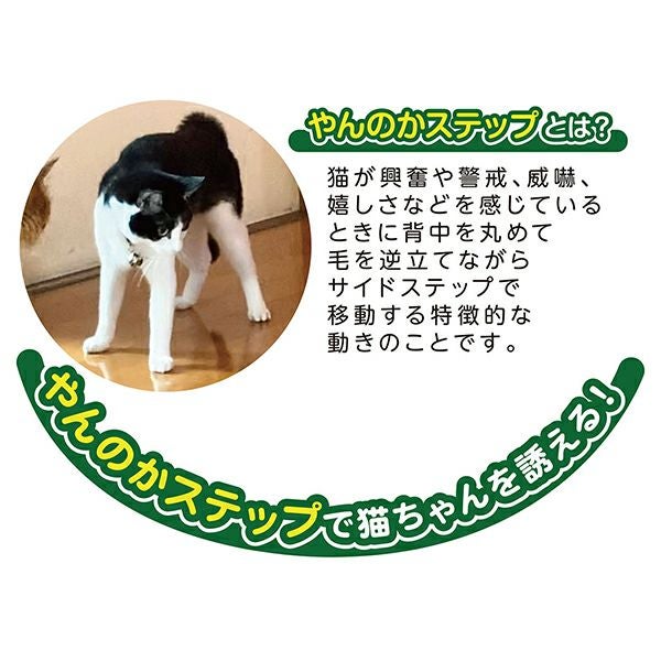 商品イメージ