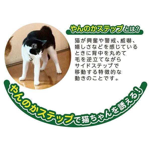 商品イメージ
