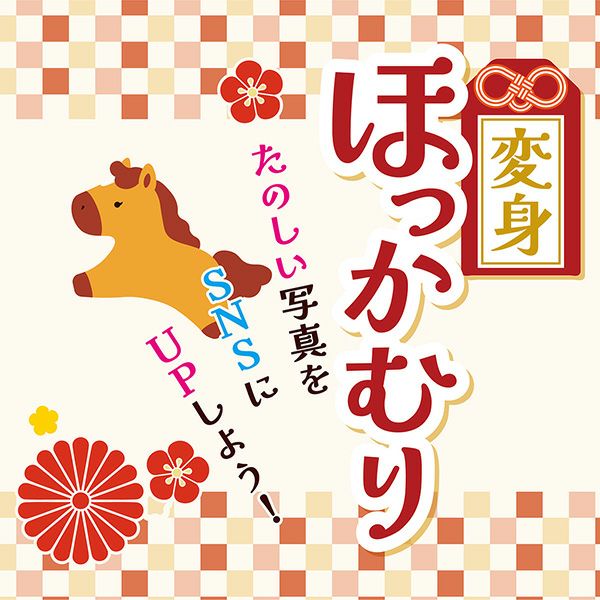 商品イメージ