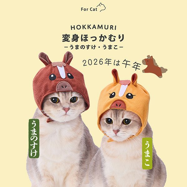 商品イメージ