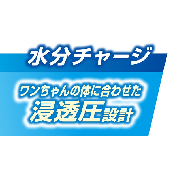 商品イメージ