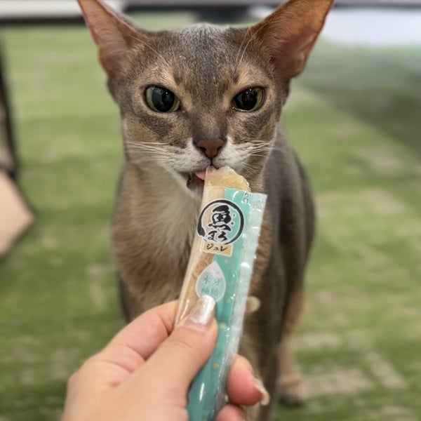 商品イメージ