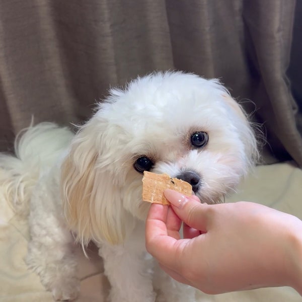 商品イメージ