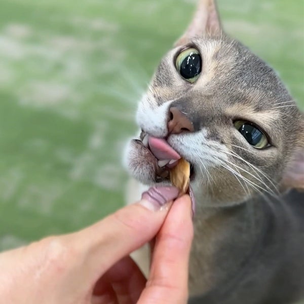 商品イメージ