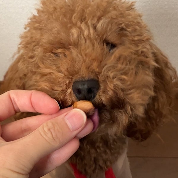 商品イメージ