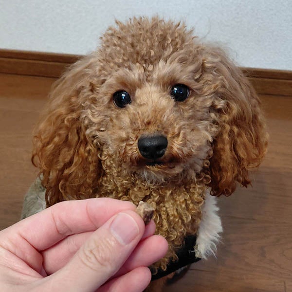 商品イメージ