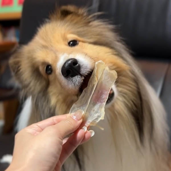 商品イメージ