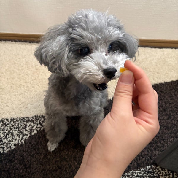 商品イメージ