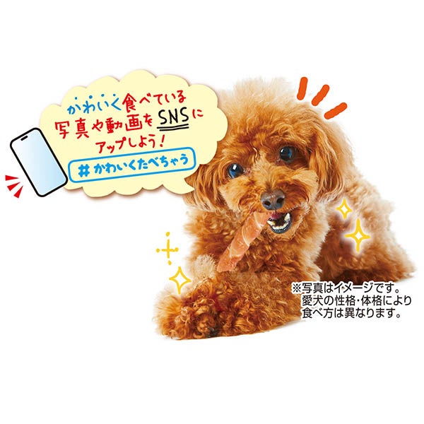 商品イメージ