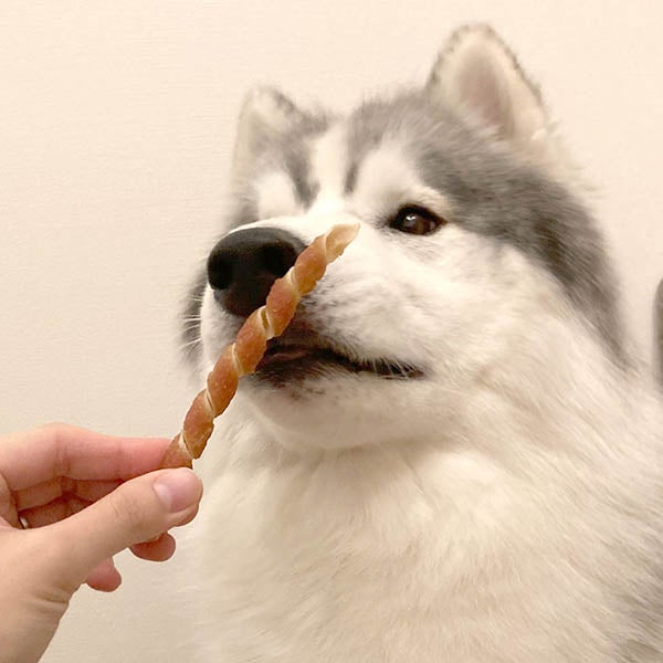 商品イメージ