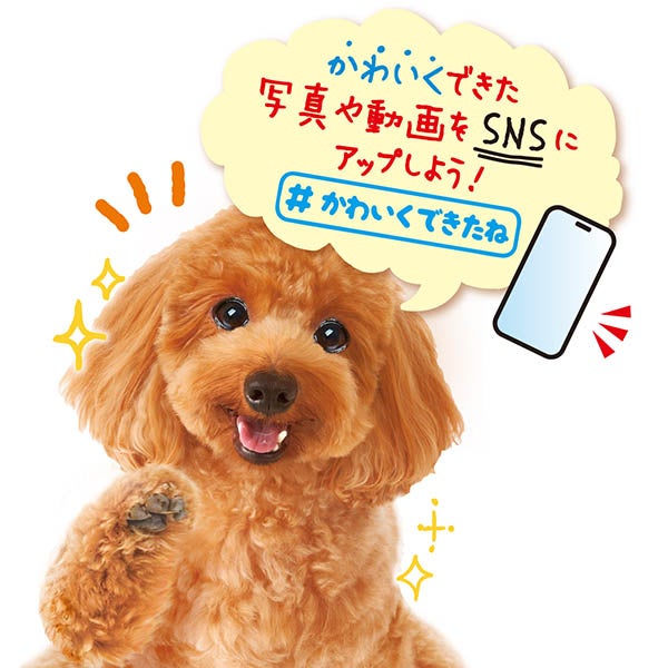 商品イメージ
