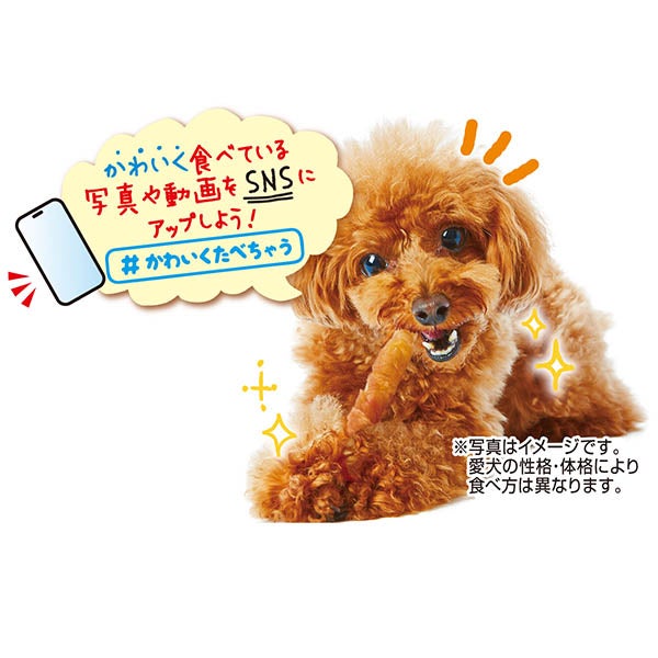 商品イメージ