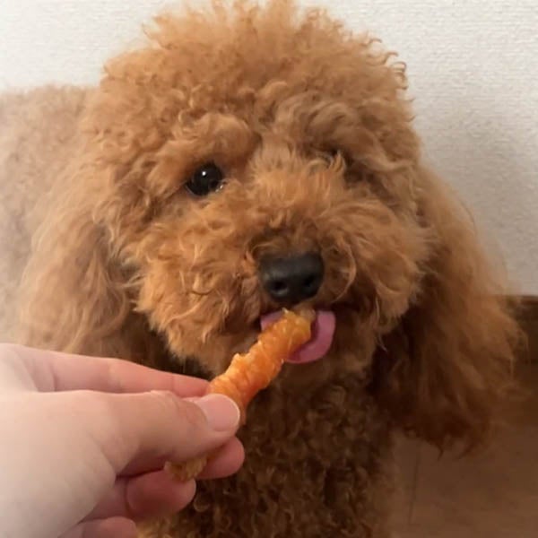 商品イメージ