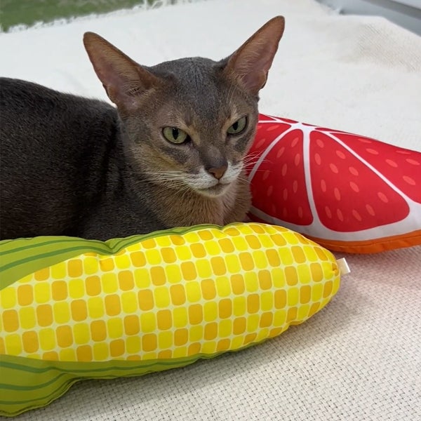 猫用おもちゃ ひんやりサマーけりぐるみ ピンクグレープフルーツ