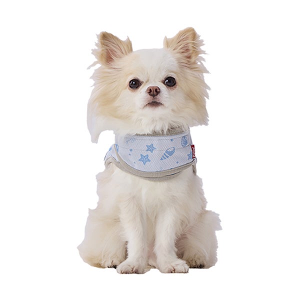 25%OFF！ひんやり特集】犬用ウェア Let's walk お散歩用 ひんやり